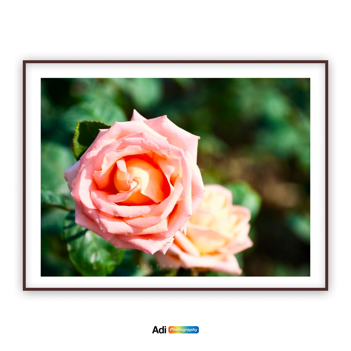 Property 1=flower-2