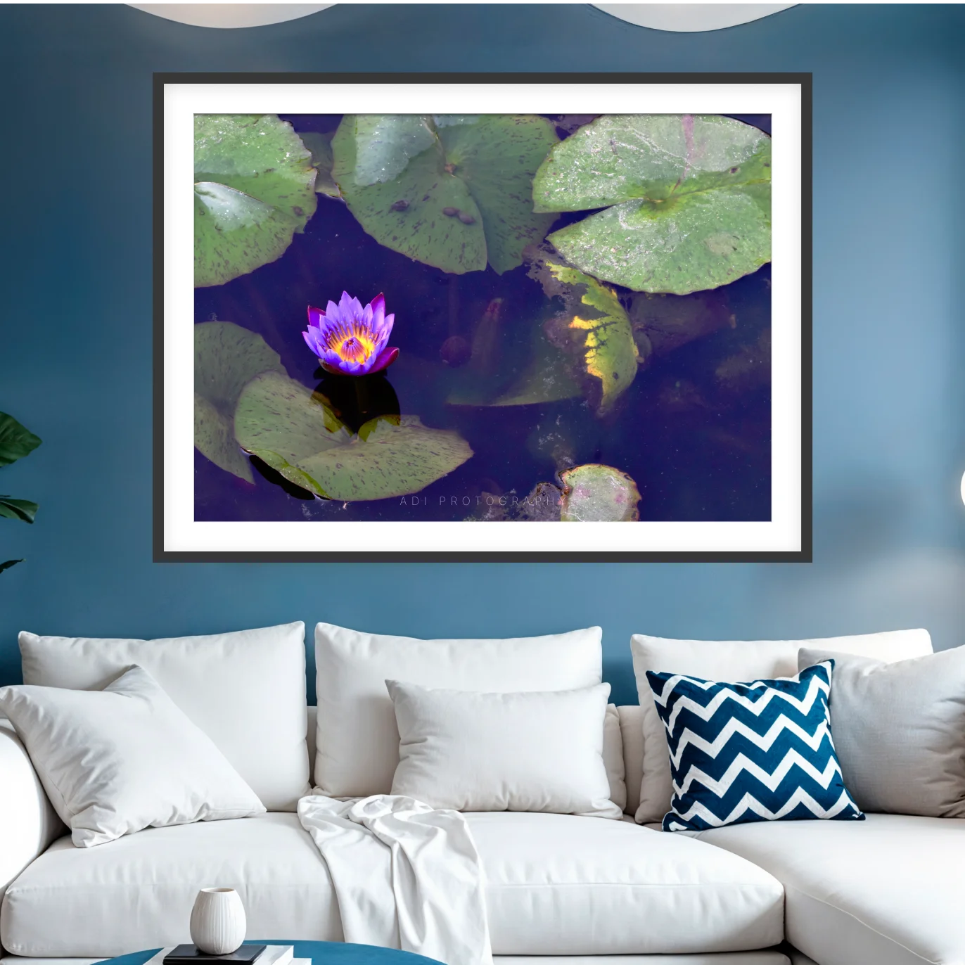 Blue Water Lily