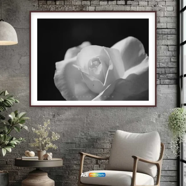 Monochrome Rose Black & White Photography Wall Art – Aditya Kumar Monochrome Rose Black & White Photography Wall Art – Aditya Kumar